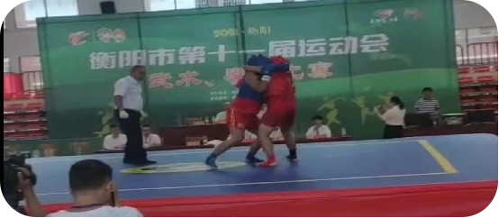 衡阳市第十一届运动会比赛222