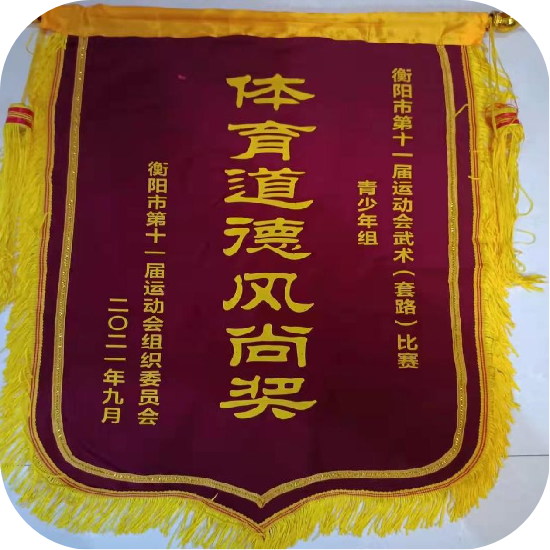衡阳市第十一届运动会比赛266